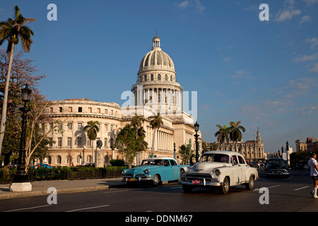Ci classic car e Capitolio nel centro di Avana, Cuba, Caraibi Foto Stock