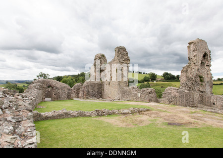 Il castello di Montgomery, Powys, Wales, Regno Unito Foto Stock