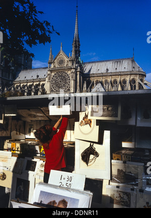 Arte e prenota in stallo lungo la Senna. La cattedrale di Notre Dame, Paris, Francia Foto Stock