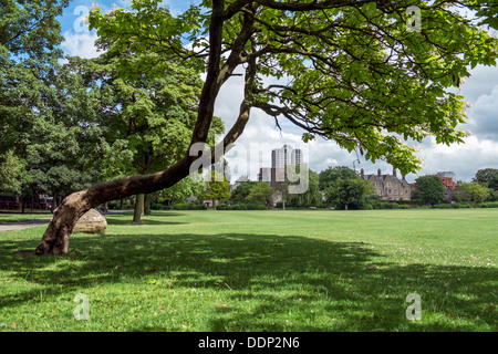 Una vista di David Murray John tower nel centro di Swindon, Wiltshire, Regno Unito, da tutta Faringdon park vicino al centro della città Foto Stock