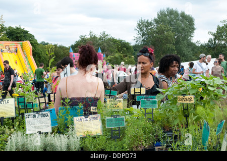 Le erbe culinarie stallo, Lambeth Paese mostrano 2013, Brockwell Park, London, Regno Unito Foto Stock