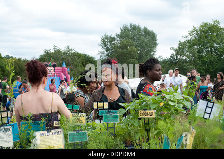 Le erbe culinarie stallo, Lambeth Paese mostrano 2013, Brockwell Park, London, Regno Unito Foto Stock