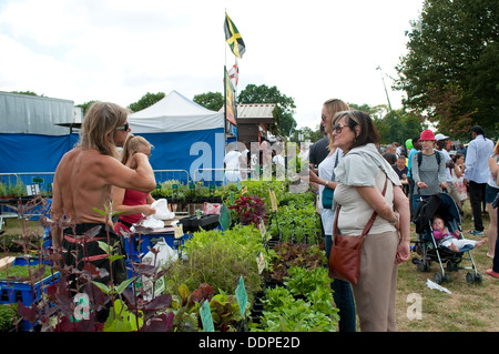 Le erbe culinarie stallo, Lambeth Paese mostrano 2013, Brockwell Park, London, Regno Unito Foto Stock