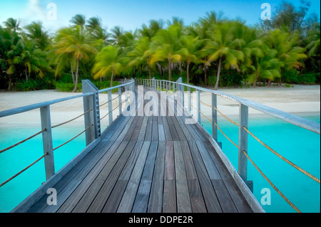 Il lungomare di palme al vento. Polinesia francese Foto Stock