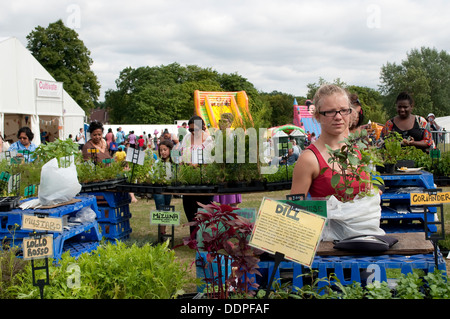 Le erbe culinarie stallo, Lambeth Paese mostrano 2013, Brockwell Park, London, Regno Unito Foto Stock