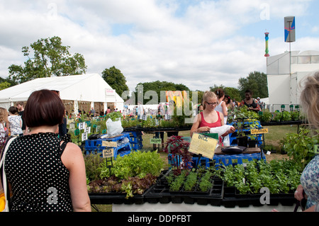 Le erbe culinarie stallo, Lambeth Paese mostrano 2013, Brockwell Park, London, Regno Unito Foto Stock