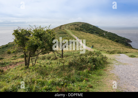 Brean giù Fort Foto Stock