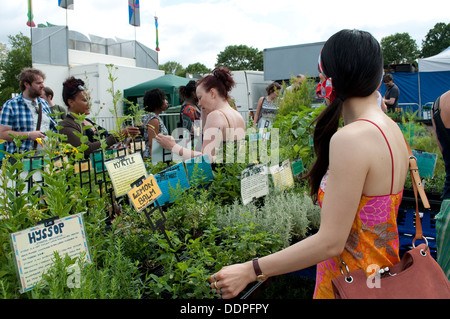 Le erbe culinarie stallo, Lambeth Paese mostrano 2013, Brockwell Park, London, Regno Unito Foto Stock