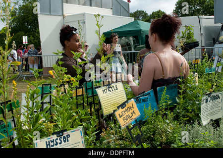 Le erbe culinarie stallo, Lambeth Paese mostrano 2013, Brockwell Park, London, Regno Unito Foto Stock