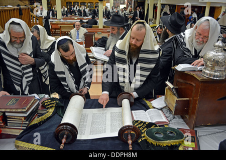 Lettura da un rotolo di Torah alla mattina dei giorni feriali servizi a Lubavitch sede a Brooklyn, New York. Foto Stock