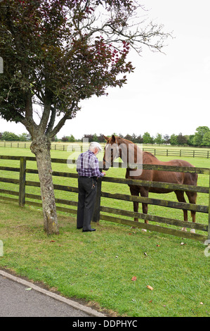 Uomo che parla a cavallo su un recinto di paddock nell'Irish National Stud a Kildare, Irlanda Foto Stock