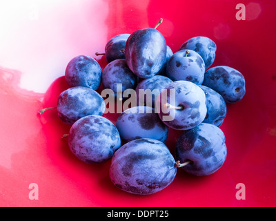 Fresco di prugne viola in una ciotola rossa Foto Stock