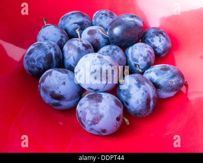 Fresco di prugne viola in una ciotola rossa Foto Stock