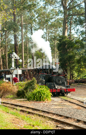 Il Puffing Billy a Menzies Creek Station, Melbourne, Victoria, Australia Foto Stock