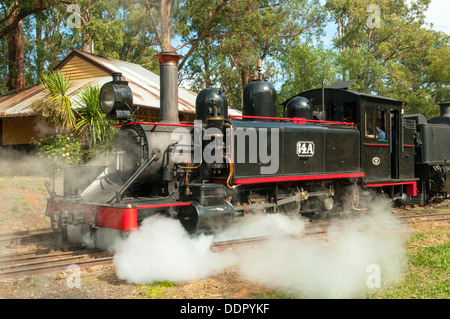 Il Puffing Billy a Menzies Creek Station, Melbourne, Victoria, Australia Foto Stock