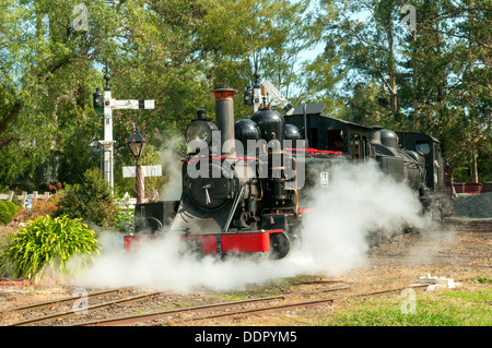 Il Puffing Billy a Menzies Creek Station, Melbourne, Victoria, Australia Foto Stock