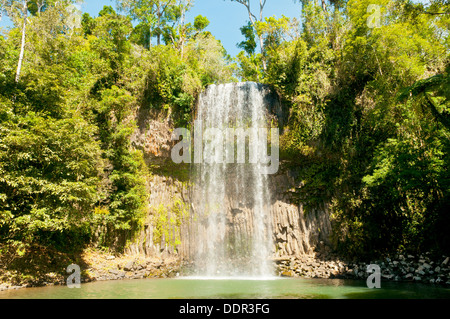 Millaa Millaa Falls, Atherton altipiano, Queensland, Australia Foto Stock