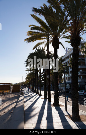 Palme stagliano contro il sole sul lungomare di Salou Foto Stock