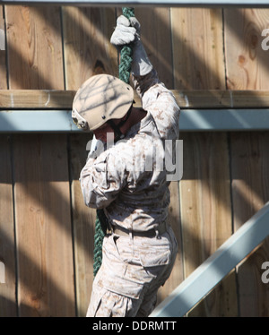 Un Marine con il primo Air Naval spari Liaison Company, fast-corde verso il basso una torre durante la formazione congiunta esercizio Chase birmano a bordo di Camp Pendleton, California, Sett. 3, 2013. L'esercizio è stato progettato per aumentare la fiducia del team per le funzionalità. Foto Stock