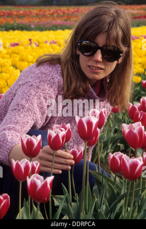 Visualizzazione di tulipani, scarpe di legno lampadina Co., Clackamas County, Oregon Foto Stock