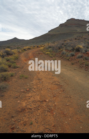 Strada di ghiaia nel Hantam montagne, Calvinia, nel nord della provincia del Capo, in Sud Africa Foto Stock