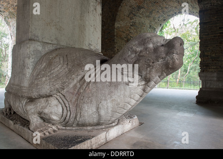 Le Tombe dei Ming, Nanjing, Cina. Tartaruga il supporto Shengde Shengong stele, nel Sifangcheng Pavillion. Foto Stock