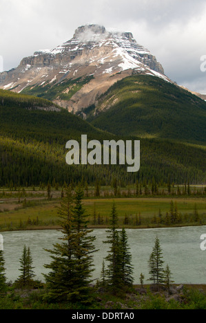 Montare Amery, il Parco Nazionale di Banff, Alberta, Canada Foto Stock