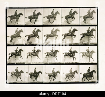 Fotografia di sequenza di un uomo che corre da James Eadweard Muybridge  (1830 - 1904), fotografo inglese importante per il suo lavoro pionieristico  in studi fotografici di movimento Foto stock - Alamy
