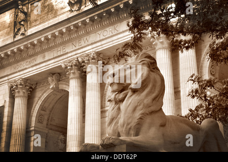 Biblioteca Pubblica di New York, Manhattan STATI UNITI D'AMERICA Foto Stock