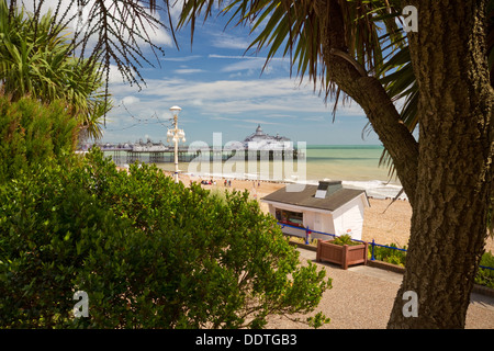 Eastbourne, Sunshine Coast, East Sussex, Regno Unito incorniciata dagli alberi sul lungomare su una bella estate calda giornata a cercare un ambiente molto tropicale Foto Stock