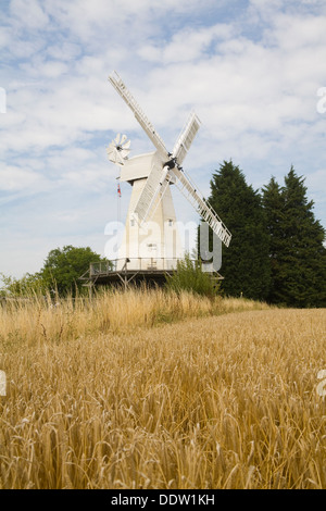 Il mulino a vento di Woodchurch Kent England Regno Unito un camiciotto mill posto su questo sito nel 1820 dietro un campo di grano Foto Stock