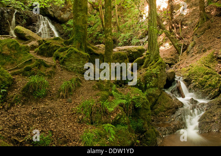 Il Fairy Glen con cascata Foto Stock