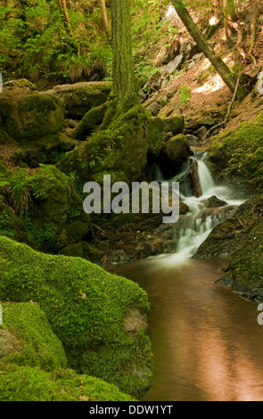 Il Fairy Glen Stream Foto Stock