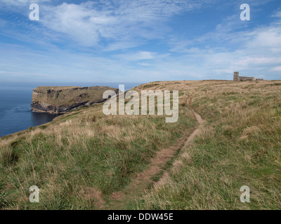 Sentiero costiero a Tintagel, Cornwall, Regno Unito 2013 Foto Stock