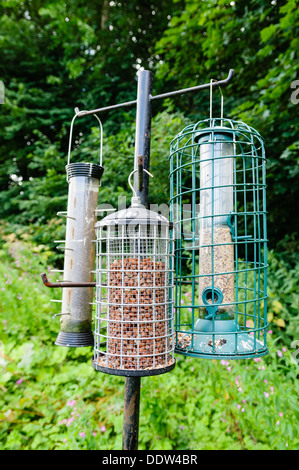 Lo Scoiattolo a prova di alimentatori di uccelli con arachidi, nyger sementi e semi misti. Foto Stock