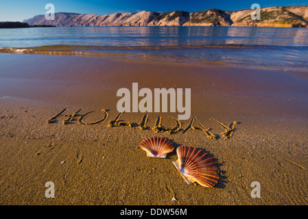 Iscrizione vacanza sulla spiaggia, shell reale Foto Stock