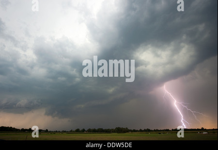 Tuoni e fulmini alla fine di un caldo e moistly giorno nei Paesi Bassi Foto Stock