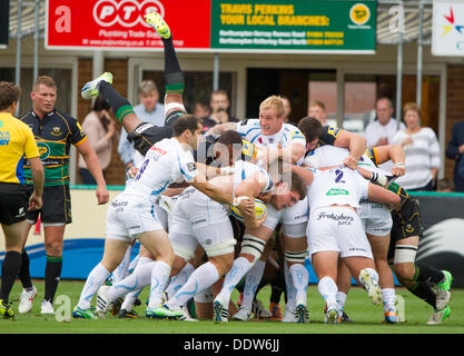 Northampton, Regno Unito. 07Th Sep, 2013. Northampton's Courtney LAWES arrampica tutto un Exeter maul durante la Aviva Premiership partita di rugby tra Northampton santi e Exeter Chiefs da Franklin's Gardens. Credito: Azione Sport Plus/Alamy Live News Foto Stock