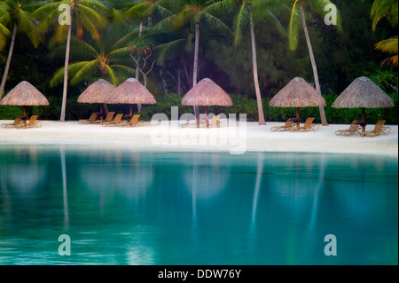 Spiaggia sulla laguna con ombrelloni e sedie a sdraio. Bora Bora. Polinesia francese Foto Stock