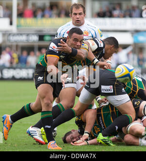 Northampton, Regno Unito. 07Th Sep, 2013. Northampton's Kahn FOTUALI' mi arriva la palla lontano al suo debutto per il club durante la Aviva Premiership partita di rugby tra Northampton santi e Exeter Chiefs da Franklin's Gardens. Credito: Azione Sport Plus/Alamy Live News Foto Stock