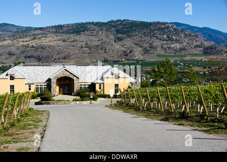 Tinhorn Creek Winery, Oliver, Sud Okanagan, British Columbia, Canada. Foto Stock