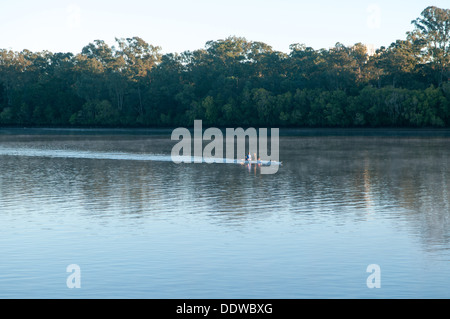 Scullers sul Fiume Brisbane, Brisbane, Queensland, Australia Foto Stock