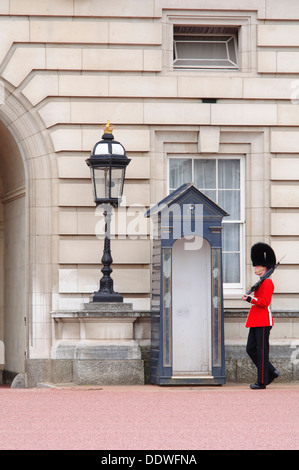 Inghilterra, Londra, Buckingham Palace e Royal Guard a Buckingham Palace Foto Stock