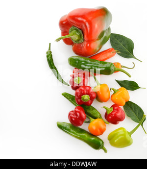 Raw peperoni colorati su sfondo bianco Foto Stock
