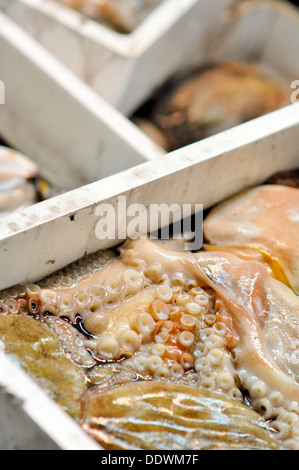 I pesci sono in vendita presso l'Osaka Municipal centrale mercato all'ingrosso in Giappone. Foto Stock