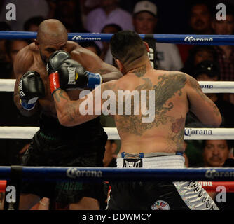 Indio California, Stati Uniti d'America. 7 Sep, 2013. Peso pesante boxer Chris Arreola va 1 round con Seth Mitchell sabato il 7 settembre. al Fantasy Springs Resort Casino. Chris Arreola ha preso la vittoria per la WBC heavyweight internazionale dal titolo TKO come arbitro Jack Reese interrompere la lotta vicino alla fine del 1° round come Seth Mitchell non era combattendo indietro. Indio CA. Credit: Gene Blevins/ZUMAPRESS.com/Alamy Live News Foto Stock