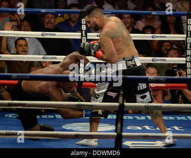 Indio California, Stati Uniti d'America. 7 Sep, 2013. Peso pesante boxer Chris Arreola va 1 round con Seth Mitchell sabato il 7 settembre. al Fantasy Springs Resort Casino. Chris Arreola ha preso la vittoria per la WBC heavyweight internazionale dal titolo TKO come arbitro Jack Reese interrompere la lotta vicino alla fine del 1° round come Seth Mitchell non era combattendo indietro. Indio CA. Credit: Gene Blevins/ZUMAPRESS.com/Alamy Live News Foto Stock