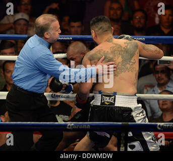 Indio California, Stati Uniti d'America. 7 Sep, 2013. Peso pesante boxer Chris Arreola va 1 round con Seth Mitchell sabato il 7 settembre. al Fantasy Springs Resort Casino. Chris Arreola ha preso la vittoria per la WBC heavyweight internazionale dal titolo TKO come arbitro Jack Reese interrompere la lotta vicino alla fine del 1° round come Seth Mitchell non era combattendo indietro. Indio CA. Credit: Gene Blevins/ZUMAPRESS.com/Alamy Live News Foto Stock