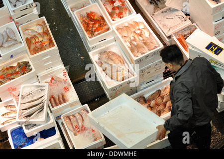 I pesci sono in vendita presso l'Osaka Municipal centrale mercato all'ingrosso in Giappone. Foto Stock