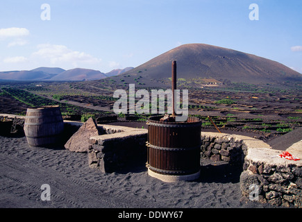 Cantina , vigneti e paesaggio vulcanico. La Geria, Lanzarote, Isole Canarie, Spagna. Foto Stock